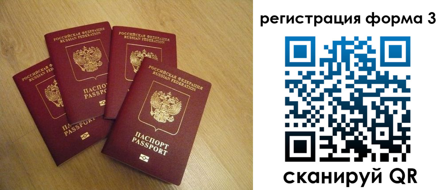 прописка для школы в Новосибирской области